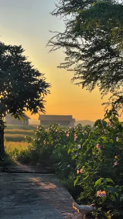 lalala lalala aduhai