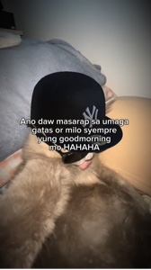 Bom Dia 