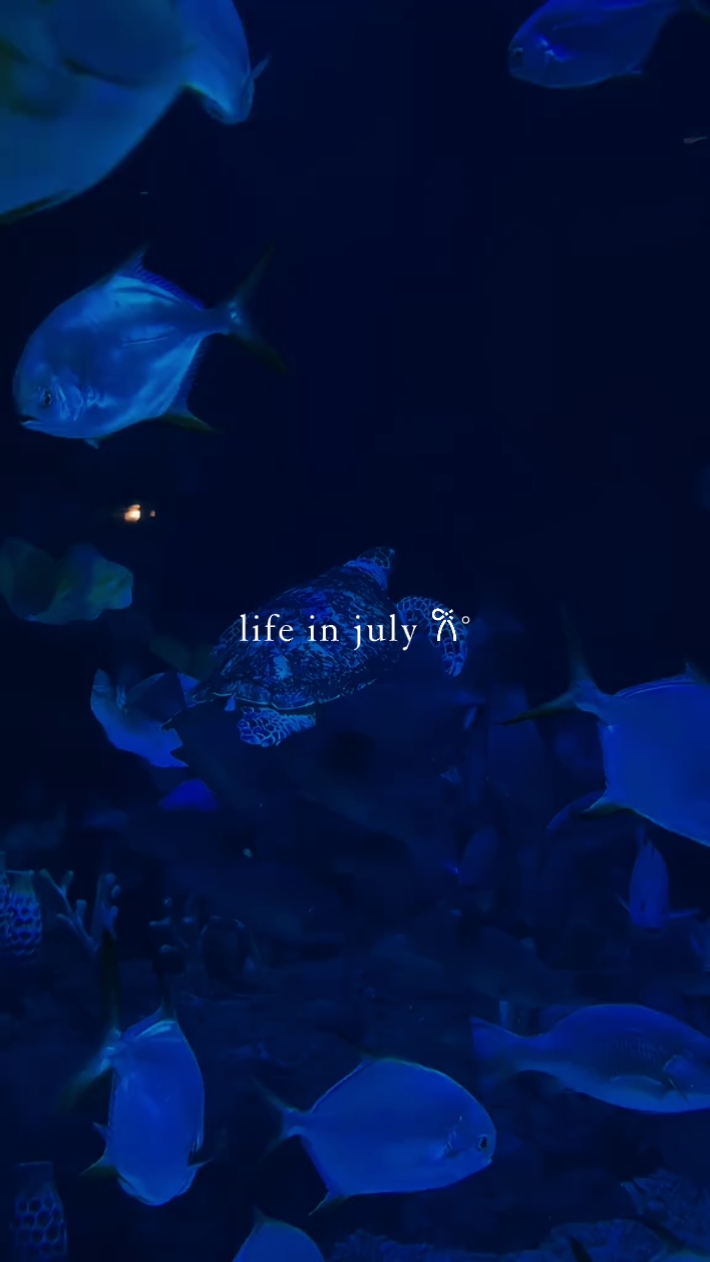 Life in July 