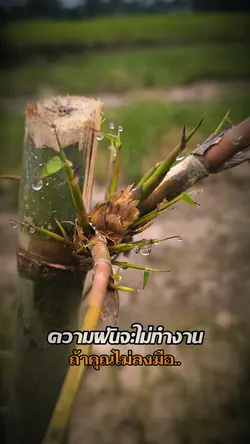 ลงมือทำ