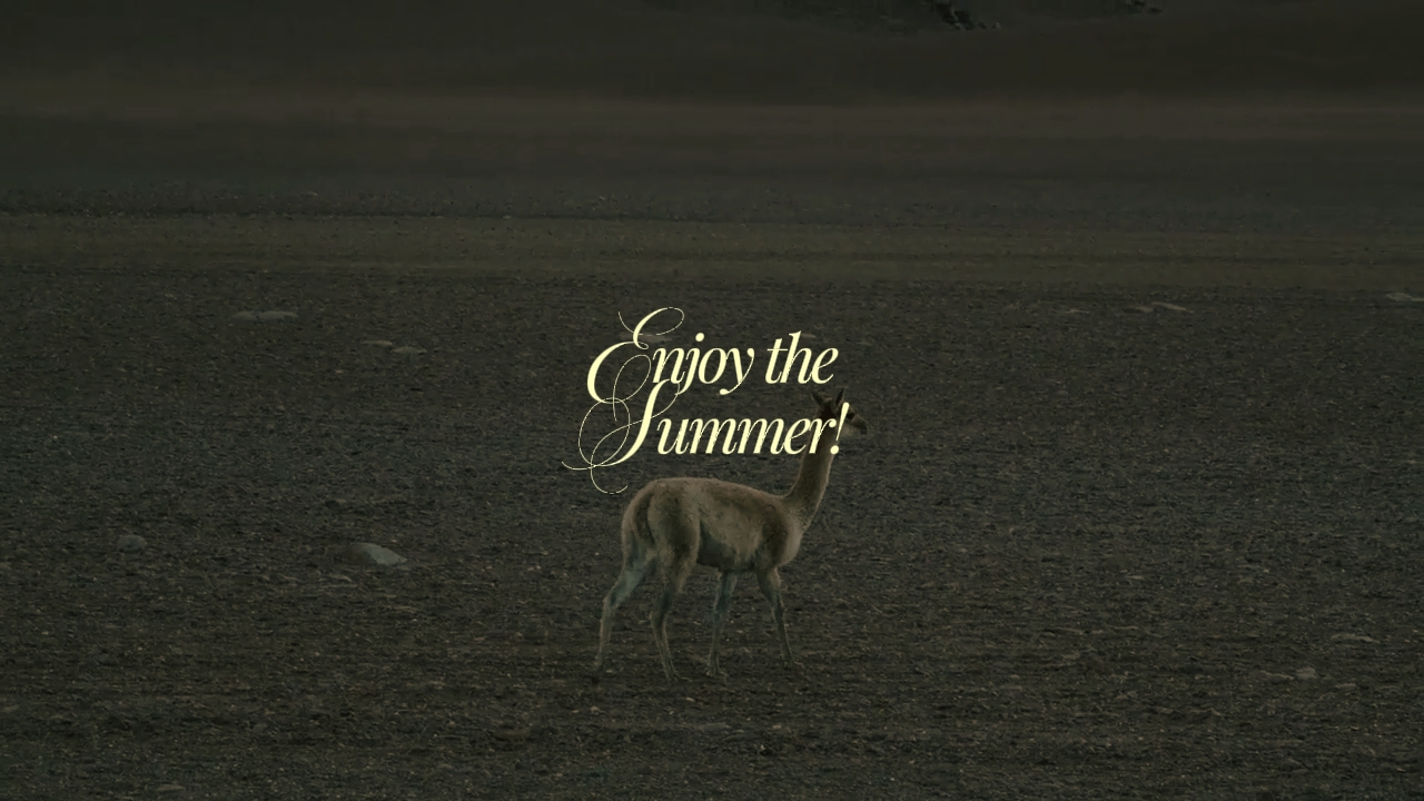 cinematic vlog 