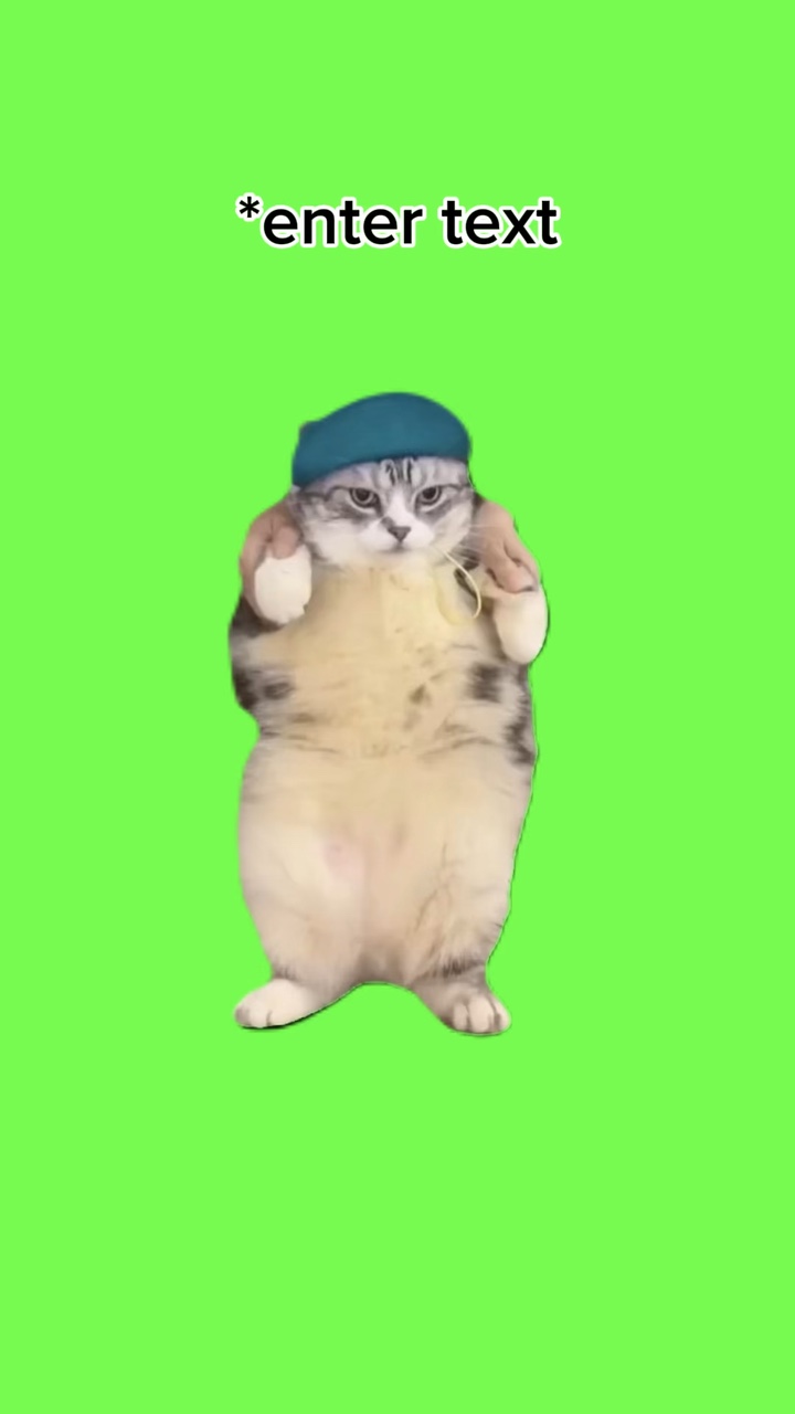 dancing cat trend 