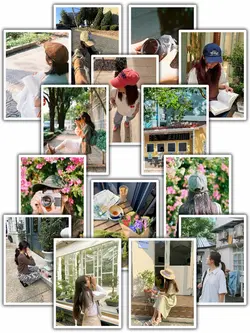 14Pic Clip Aesthetic