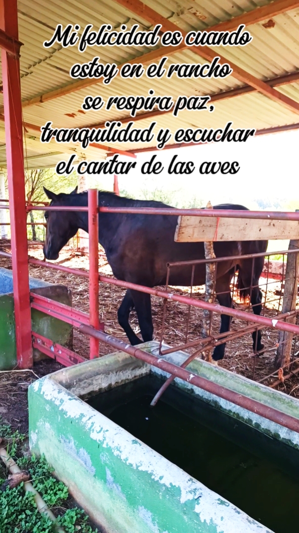 La vida en el rancho