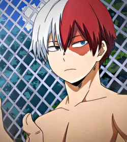 SHOTO TODOROKI 
