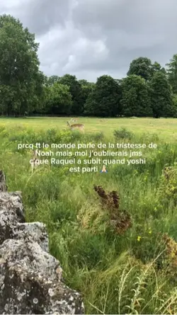 A travers ma fenêtre