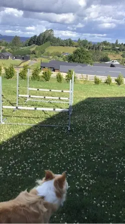 Do it properly pls 😣