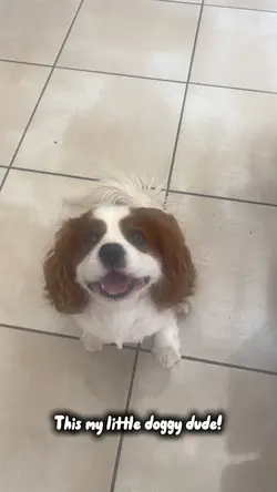 Doggy dude 