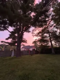 FALL IN LOVE ALL OVE