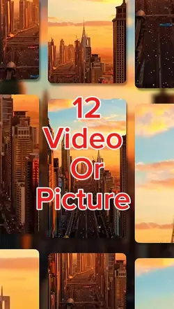 12 videos or picture