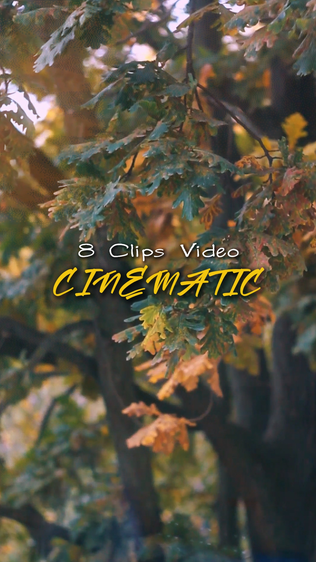 Video 8 Sinematik