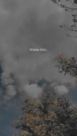 Wishlist 2025