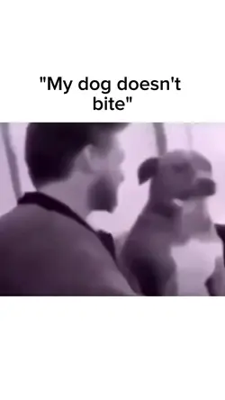 my dog doesn't bite 