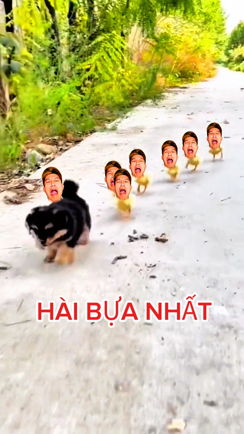 Ghép hài hóquei 