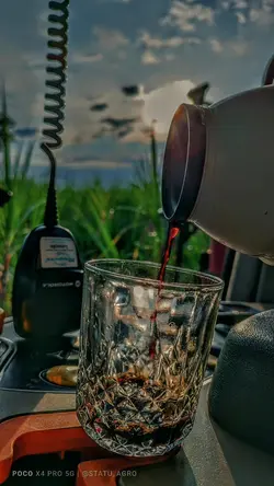 E Lá Se Vai Mais Um 