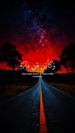 عبد الرحمن مسعد