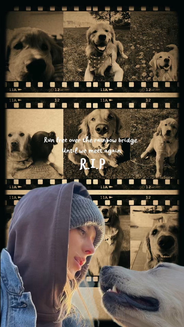 Cachorro RIP