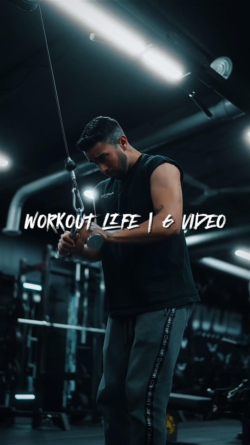 Vida de entrenamiento | 6