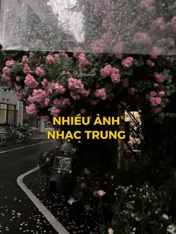 13 ảnh