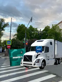 crossing the road 🛣️