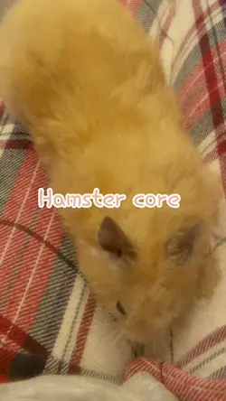 Hamster core