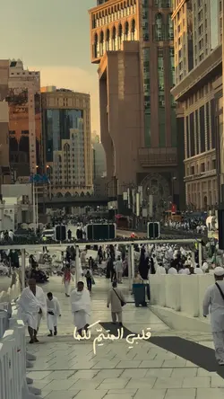 قلبي المتيم