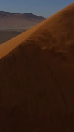 وقدمنا الى