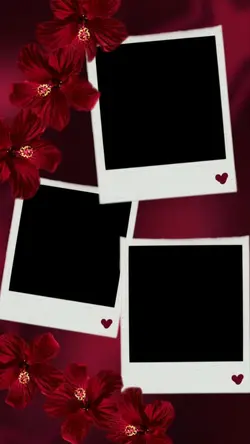 Red Frame 