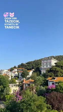 çiçek gibi 