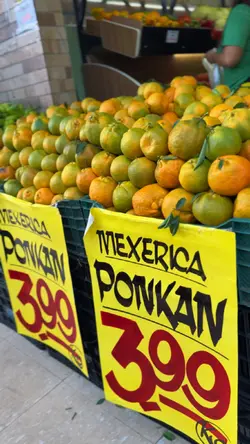 Hortifruti 