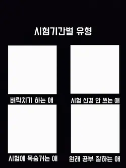 4인유형