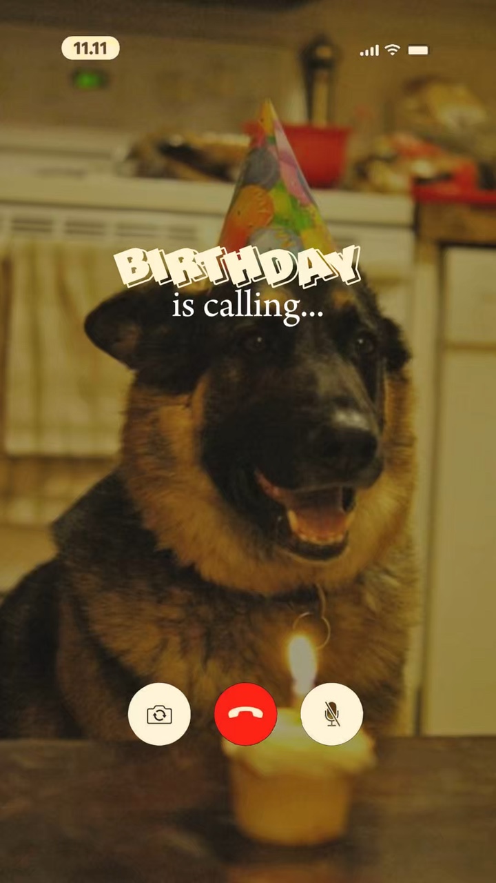 Geburtstag mein Hund