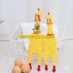 꼬꼭