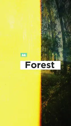 Forest 