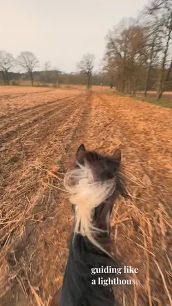 Lighthouse ❤️‍🩹❤️‍🩹