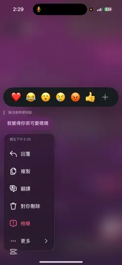 部分29