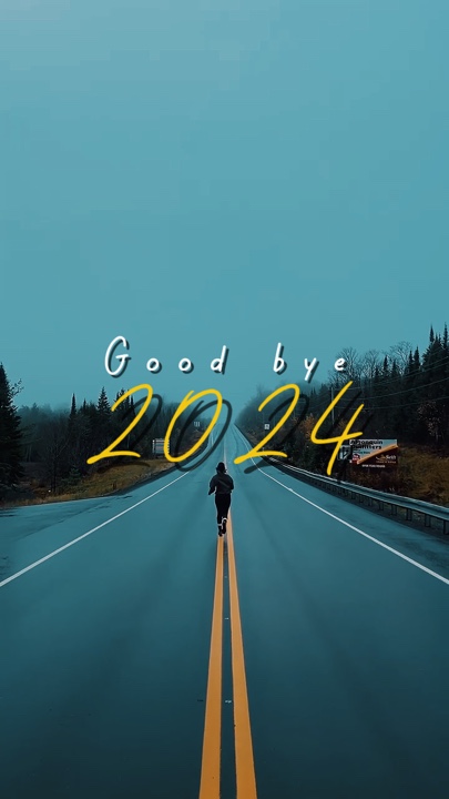 再见2024年