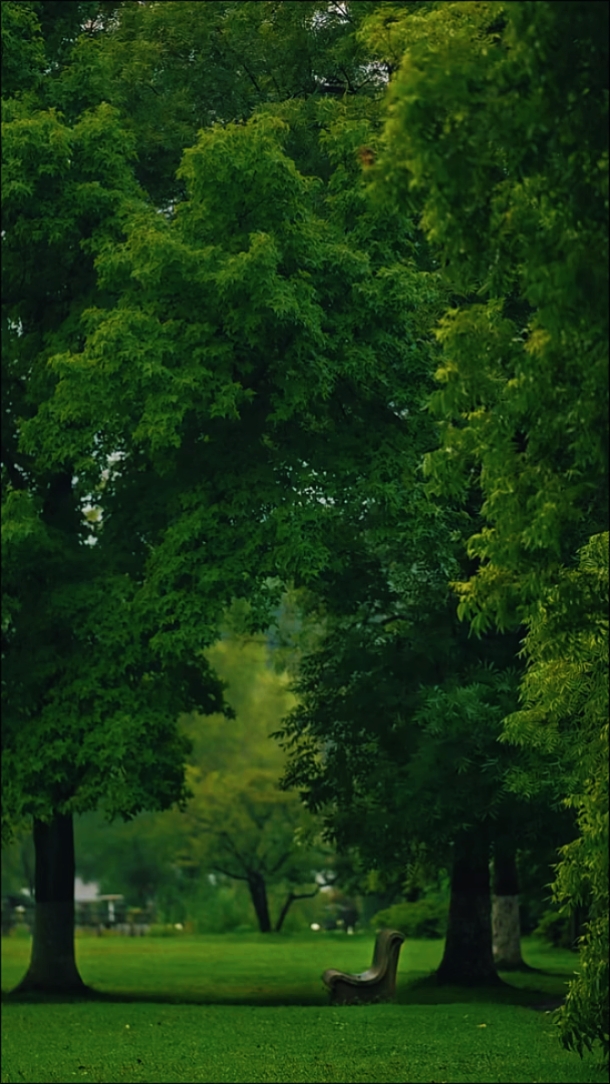Nature • Cinematic