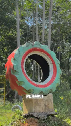 Laki laki tanpa mirs