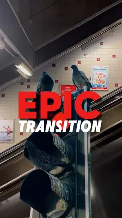 Epic transition 