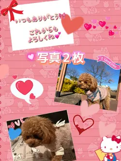 ありがとう/キティ何にでも使えるテンプレ