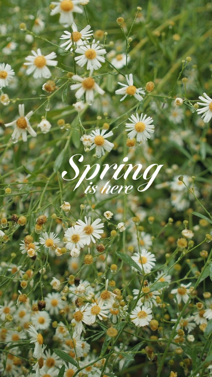 Der Frühling ist da