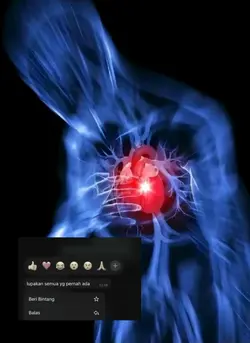 ss chat