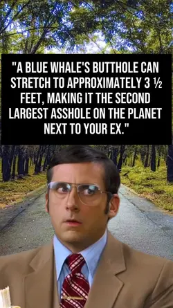 Your Ex