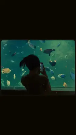 โทนฟิล์ม