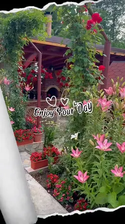 Flower in the Garden