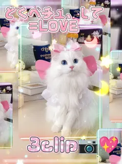 とくべチュ、して/=LOVE