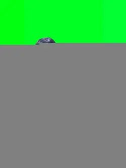 foto sama adel jkt48