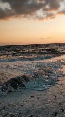 Popular - the weeknd