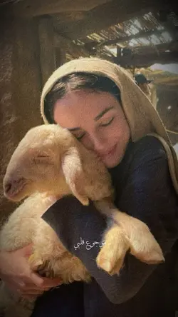 – موجوع قلبي
